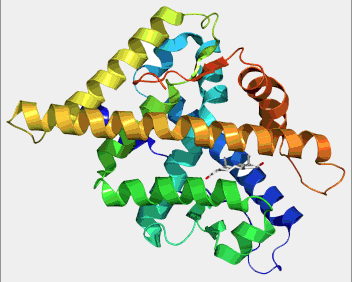 Évaluation du dosage sérique de l’hormone anti-müllérienne.