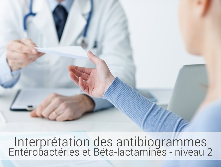Interprétation-des-antibiogrammes--Entérobactéries-et-Béta-lactamines-NIVEAU-2 interprétation des antibiogrammes