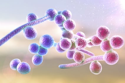 Modification des libellés des actes de biologie médicale