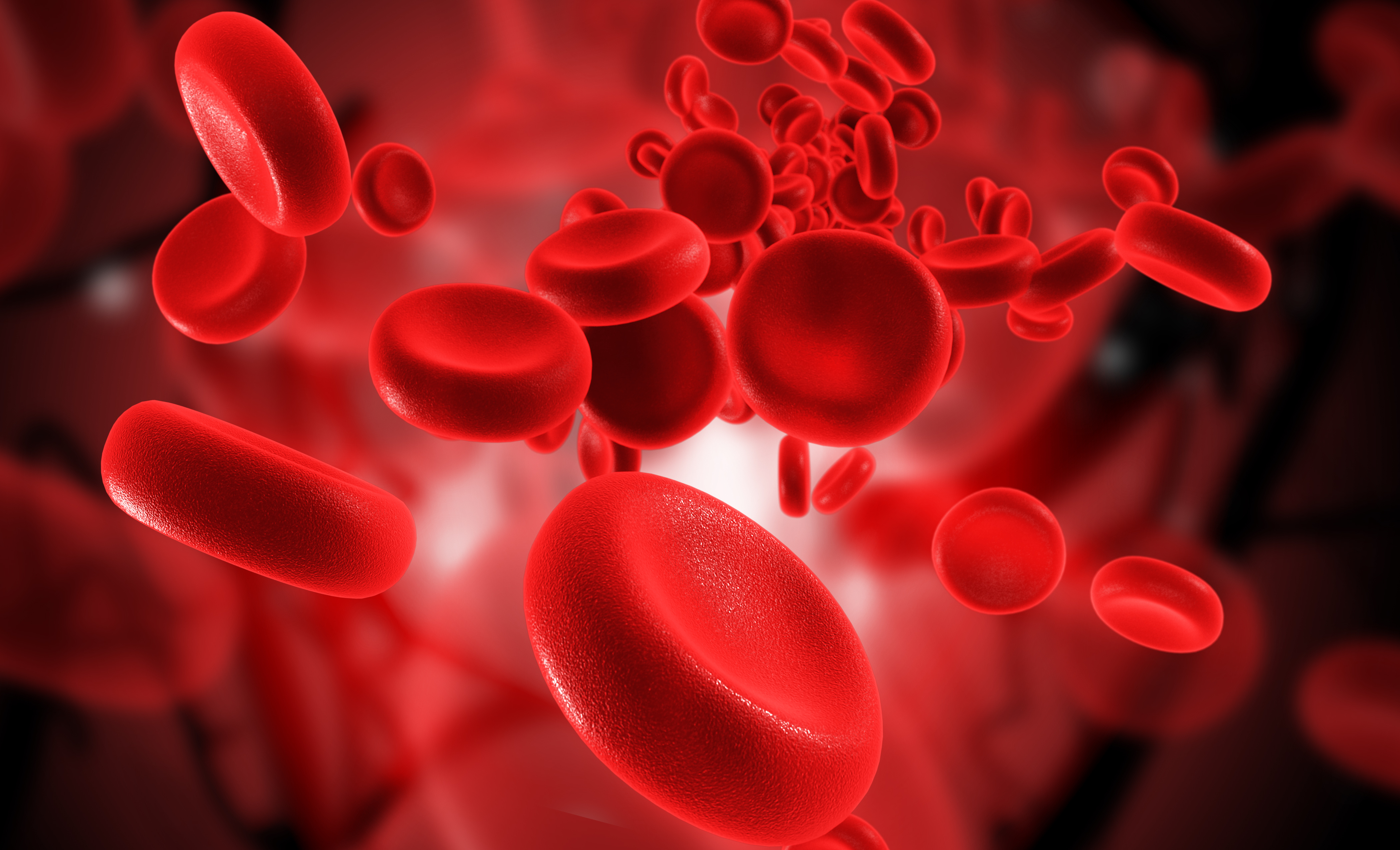 Formation diagnostic d'une anémie en biologie délocalisée — PREANEM