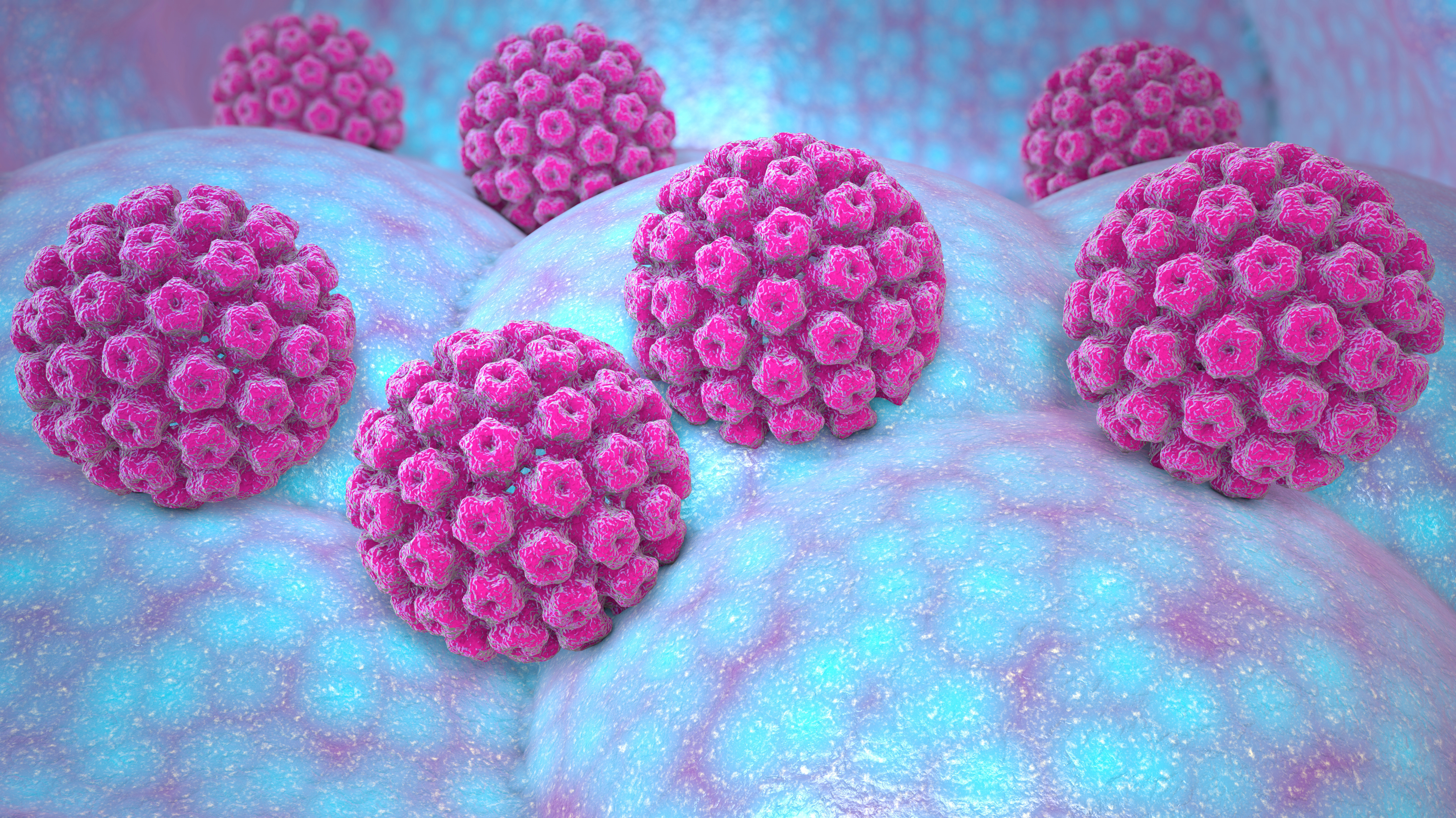 Formation dépistage organisé du cancer du col de l'utérus — HPV